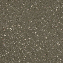Load image into Gallery viewer, Altro Walkway 20 Van Flooring
