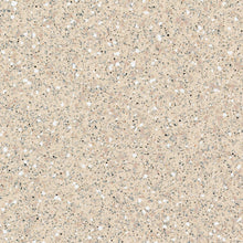 Load image into Gallery viewer, Tarkett Safetred School Flooring
