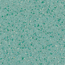 Load image into Gallery viewer, Tarkett Safetred Bathroom Flooring
