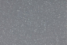 Load image into Gallery viewer, Altro Suprema Pub Flooring
