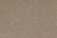 Load image into Gallery viewer, Altro Suprema Pub Flooring
