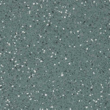 Load image into Gallery viewer, Altro Transflor Chroma Van Flooring
