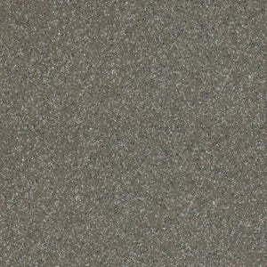Altro Walkway 20 Van Flooring