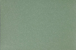 Altro Walkway Plus Pub Flooring