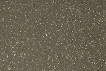 Load image into Gallery viewer, Altro Walkway 20 Van Flooring
