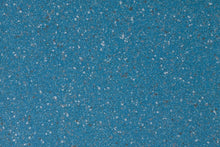Load image into Gallery viewer, Altro Walkway 20 Van Flooring

