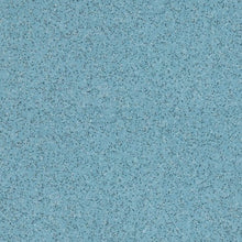 Load image into Gallery viewer, Altro Walkway 20 Care Home Flooring
