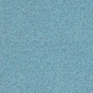 Altro Walkway 20 Van Flooring
