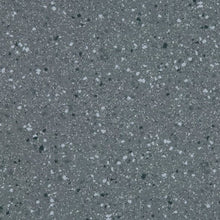 Load image into Gallery viewer, Altro Walkway 20 Van Flooring
