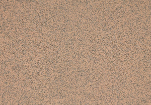 Altro Reliance 25 Kitchen Flooring